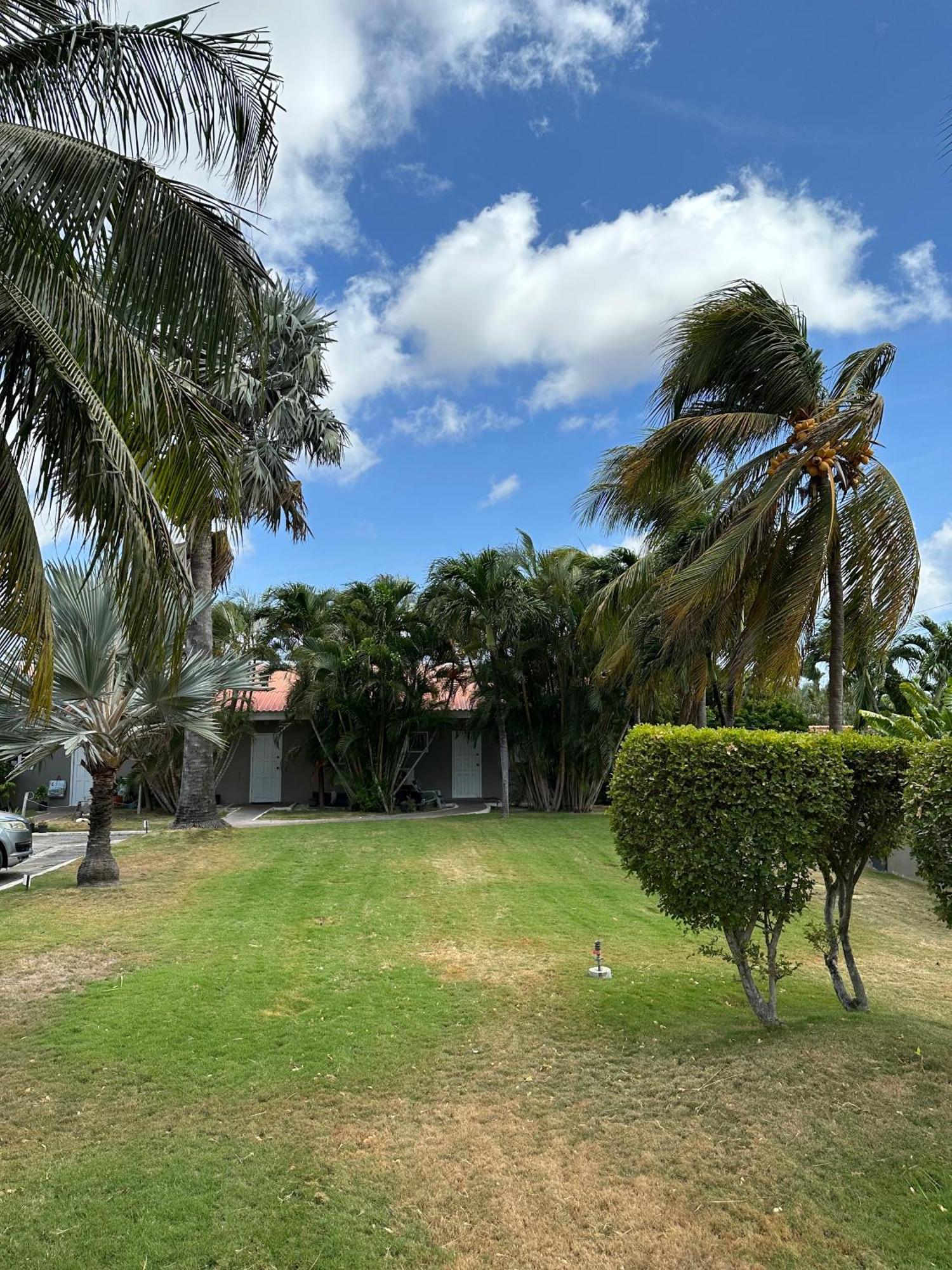 Windmill Apartments Curacao Willemstad Esterno foto