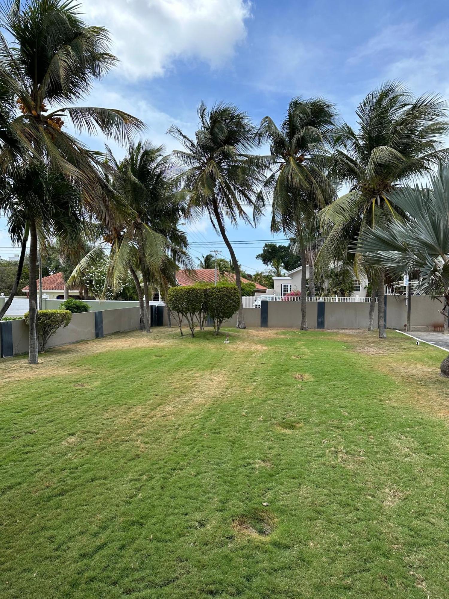 Windmill Apartments Curacao Willemstad Esterno foto